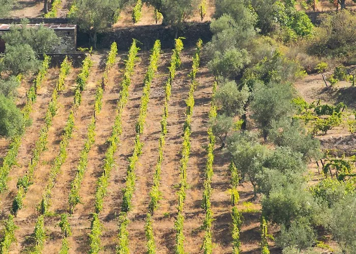 Quinta Dos Padrinhos - Suites In The Heart Of The Douro