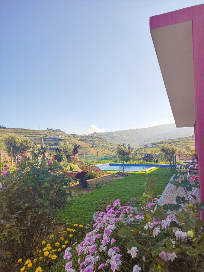 Quinta Dos Padrinhos - In The Heart Of The Douro *
