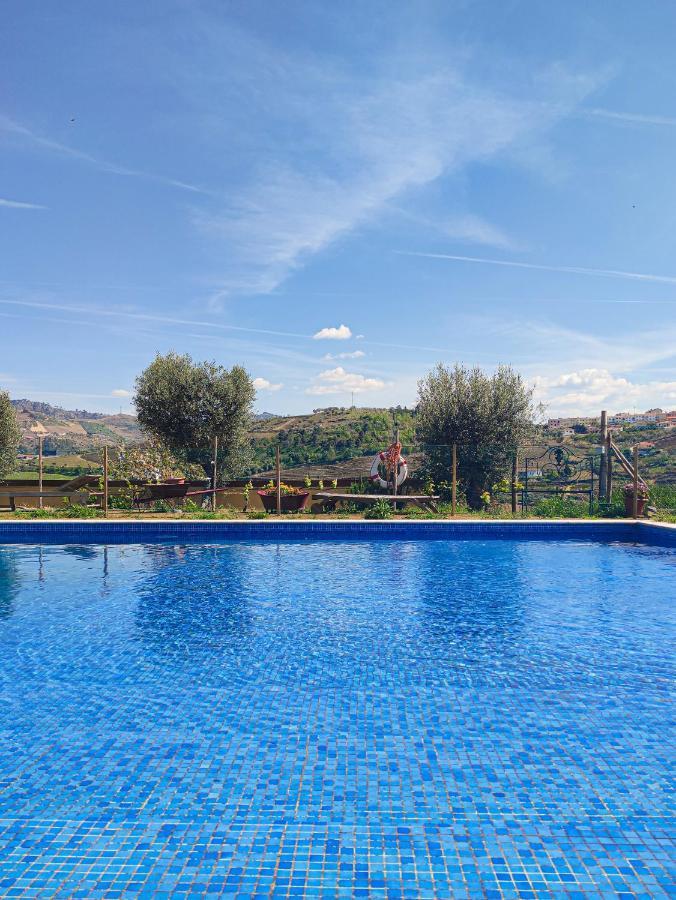 Apartment Quinta Dos Padrinhos - In The Heart Of The Douro *