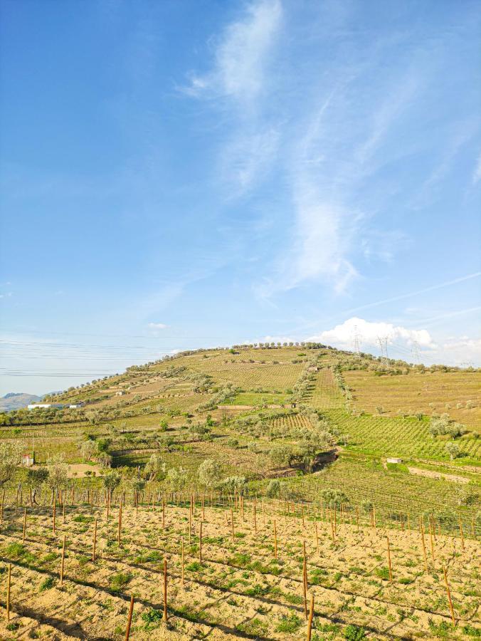 Quinta Dos Padrinhos - In The Heart Of The Douro Lamego