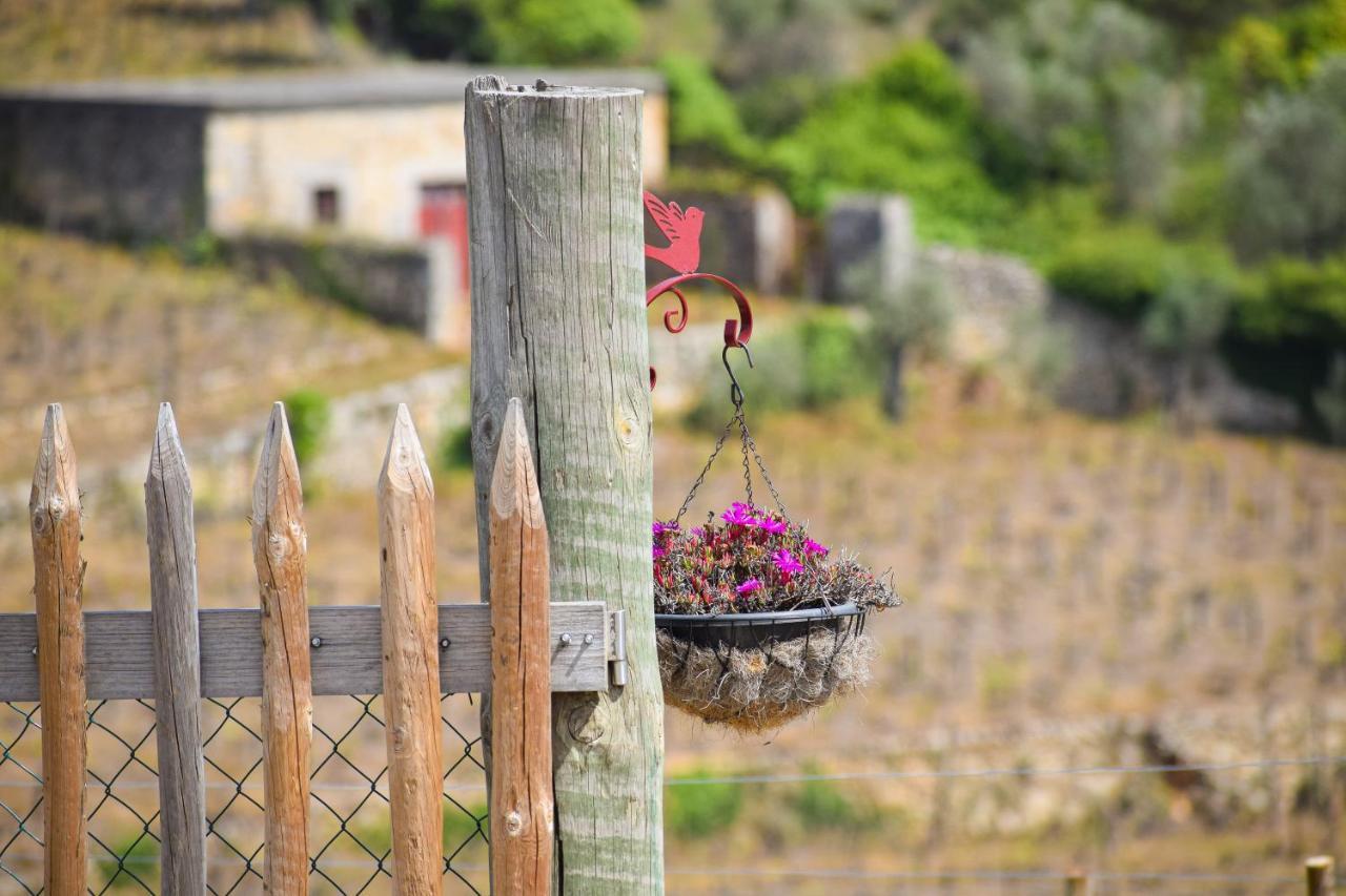 Apartment Quinta Dos Padrinhos - In The Heart Of The Douro Lamego