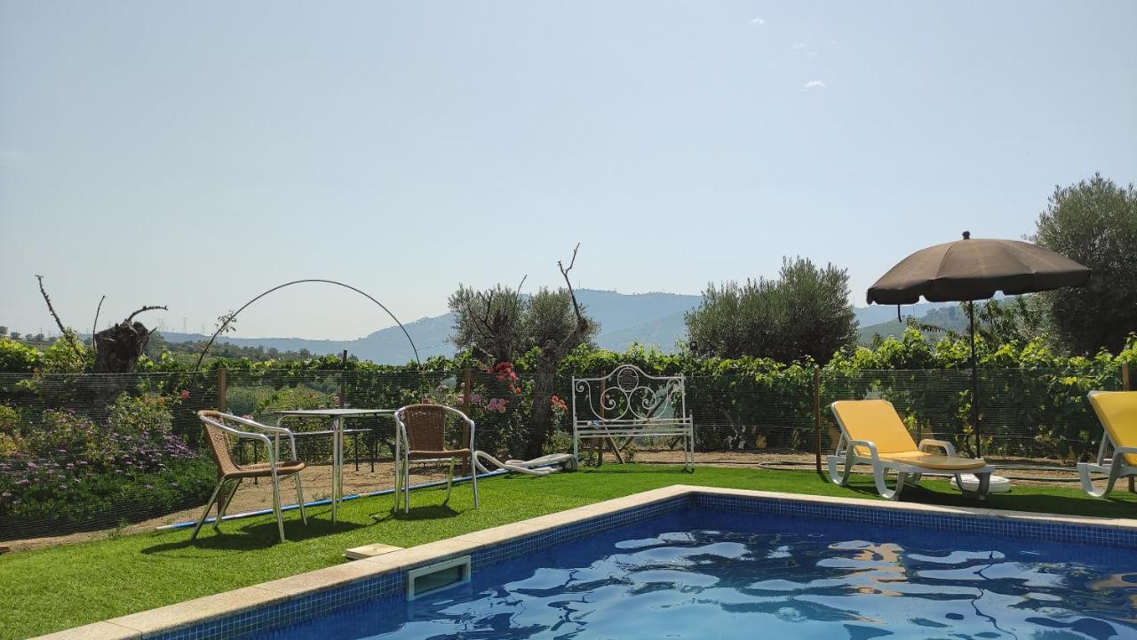 Quinta Dos Padrinhos - In The Heart Of The Douro Lamego