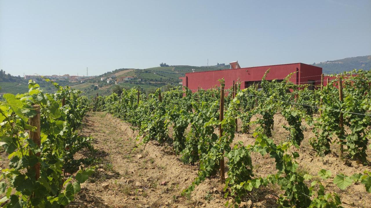 Quinta Dos Padrinhos - In The Heart Of The Douro *
