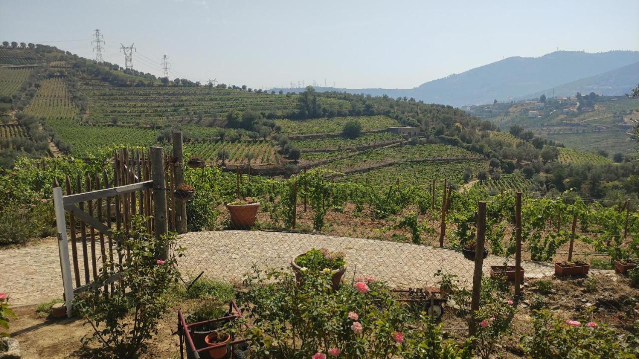 Apartment Quinta Dos Padrinhos - In The Heart Of The Douro *